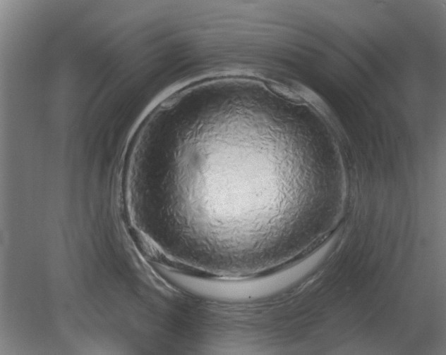 X0000080101052200612151616