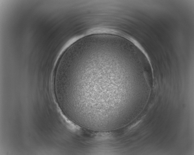 X0000080101053200612151616