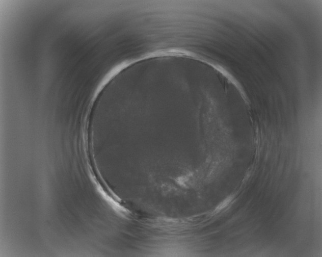 X0000080101054200612151616