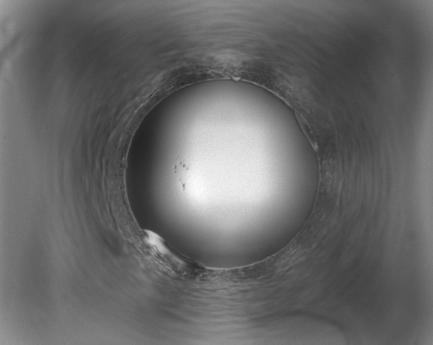X0000080101057200612151615