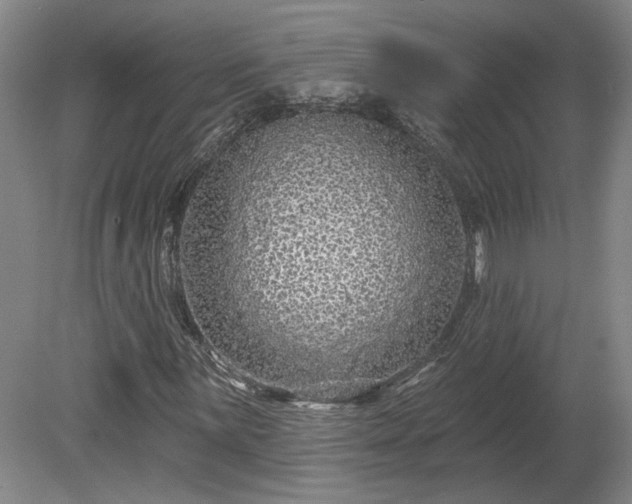 X0000080101059200612151615