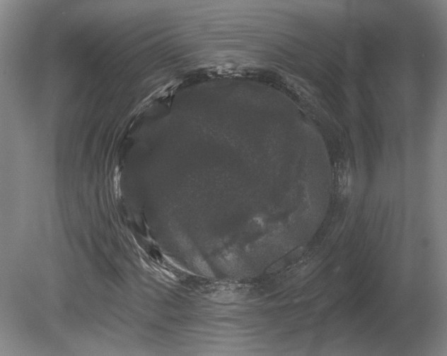 X0000080101060200612151615