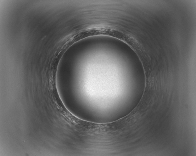X0000080101062200612151615