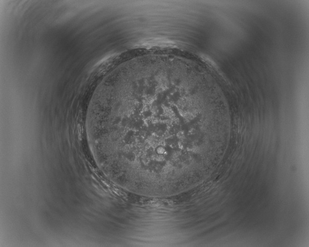 X0000080101063200612151615