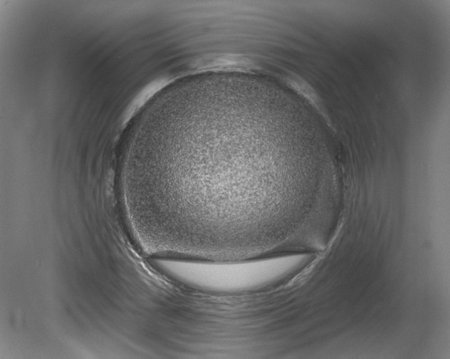 X0000080101066200612151615