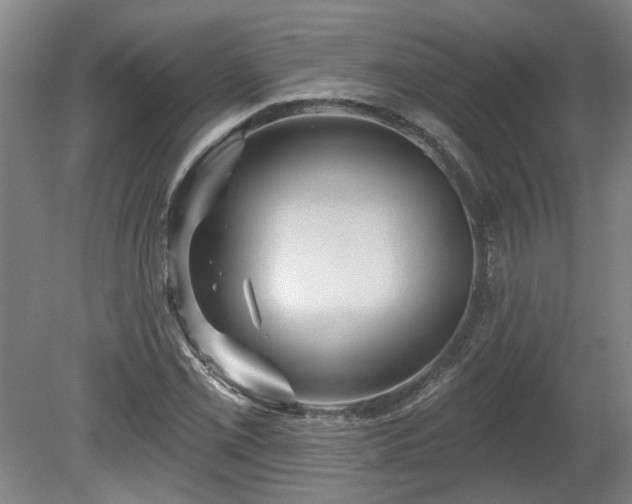 X0000080101069200612151615