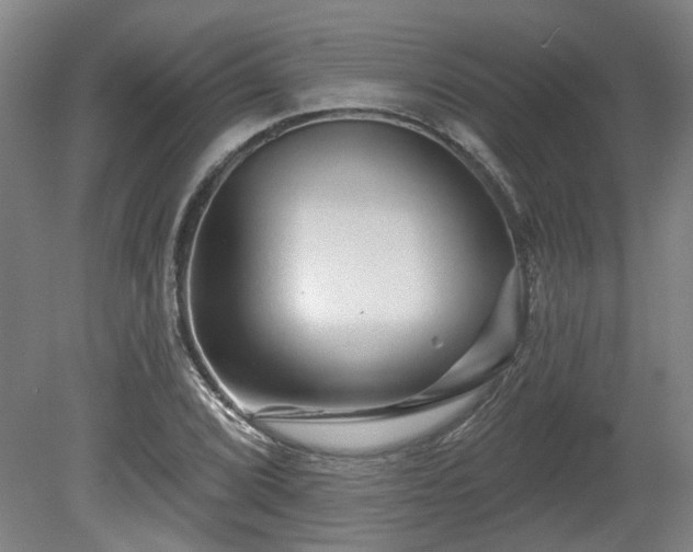 X0000080101072200612151615
