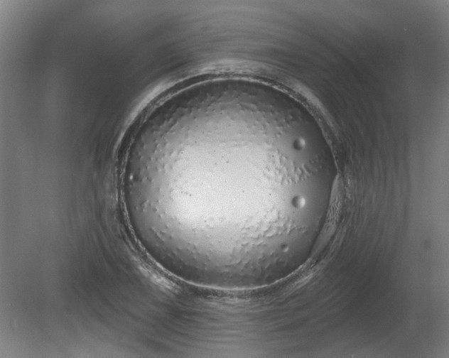 X0000080101075200612151615