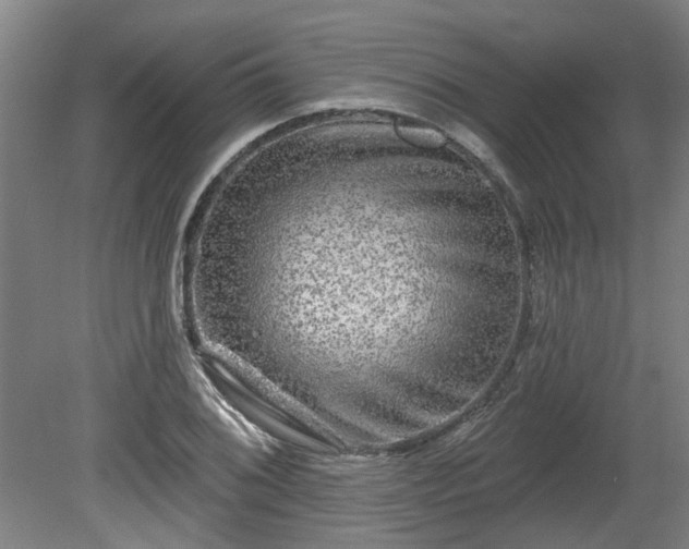 X0000080101076200612151615