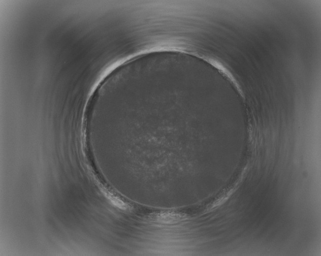 X0000080101077200612151615