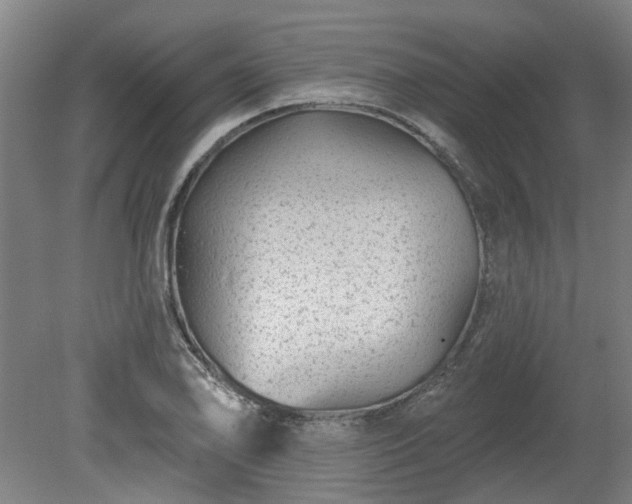 X0000080101078200612151615