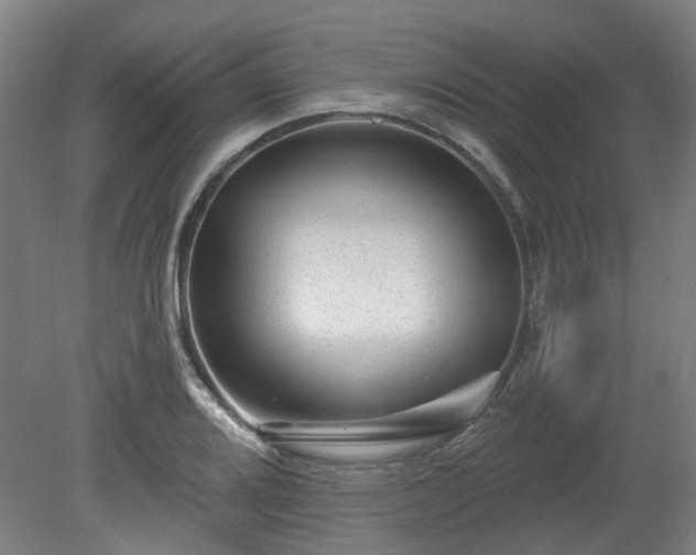 X0000080101080200612151615
