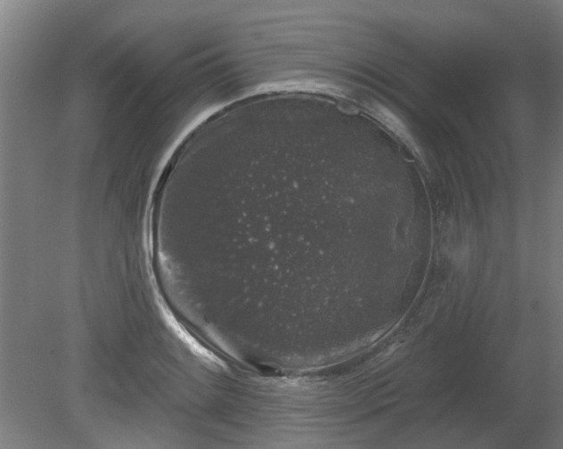 X0000080101084200612151615