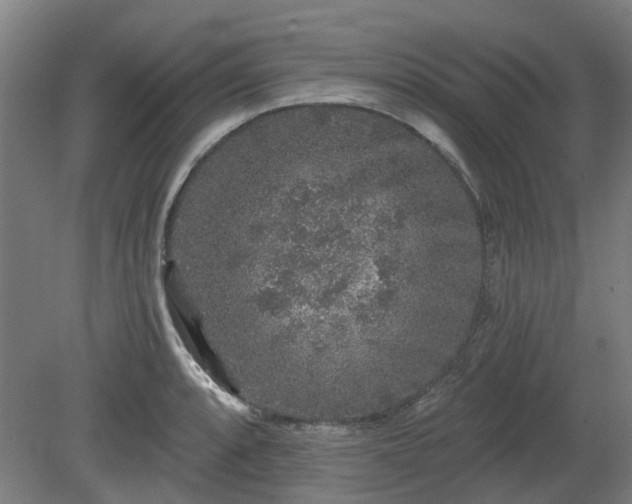 X0000080101088200612151615