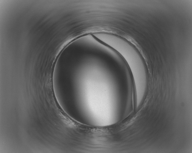 X0000080101089200612151615