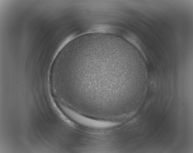 X0000080101091200612151615