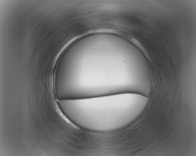 X0000080101092200612151615