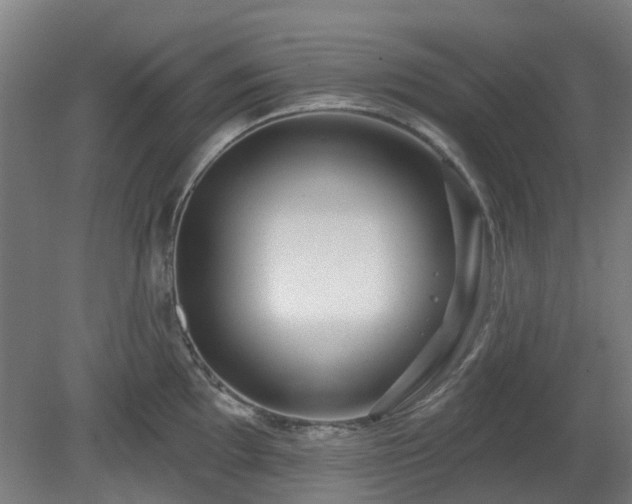 X0000080101097200612151614