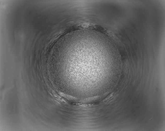 X0000080101105200612151614