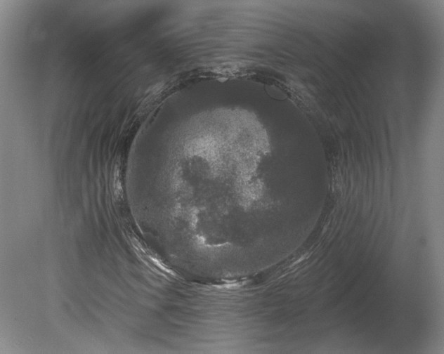 X0000080101106200612151614