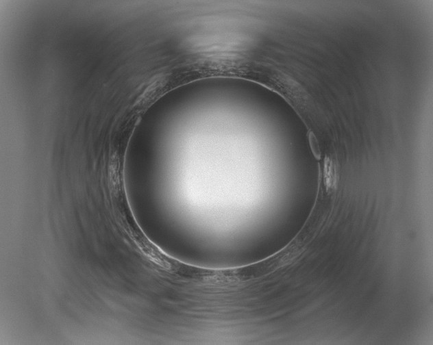 X0000080101107200612151614