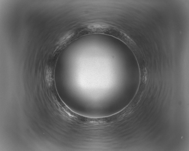 X0000080101108200612151614