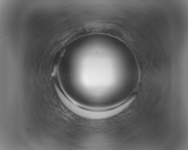 X0000080101109200612151614