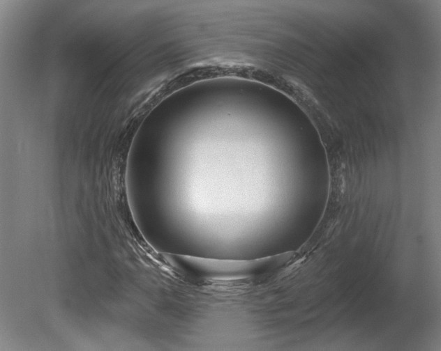 X0000080101110200612151614