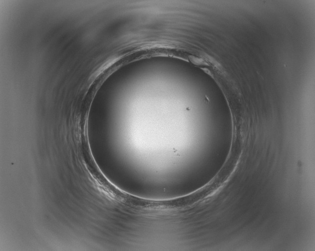 X0000080101113200612151614