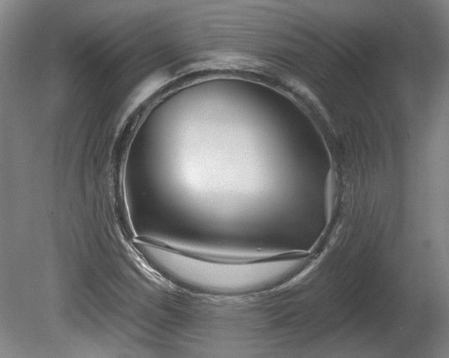 X0000080101114200612151614
