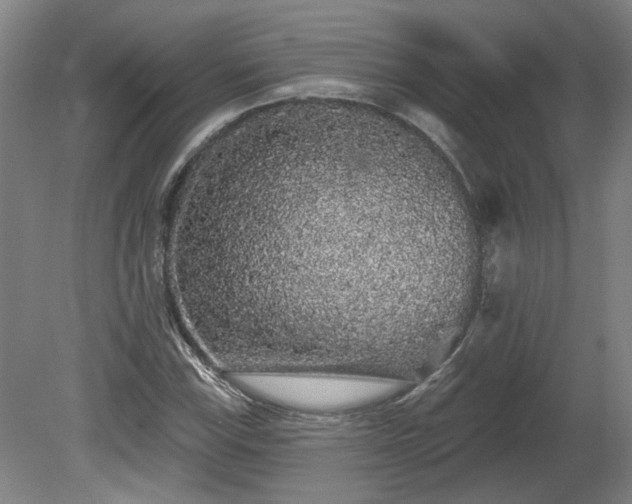 X0000080101115200612151614