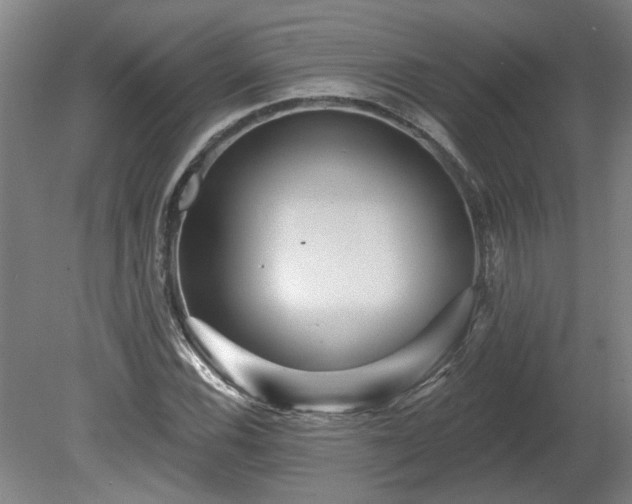 X0000080101116200612151614