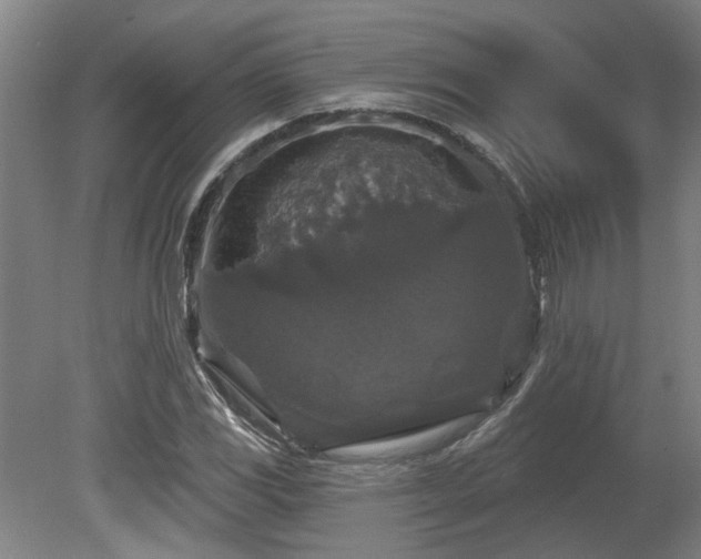 X0000080101117200612151614