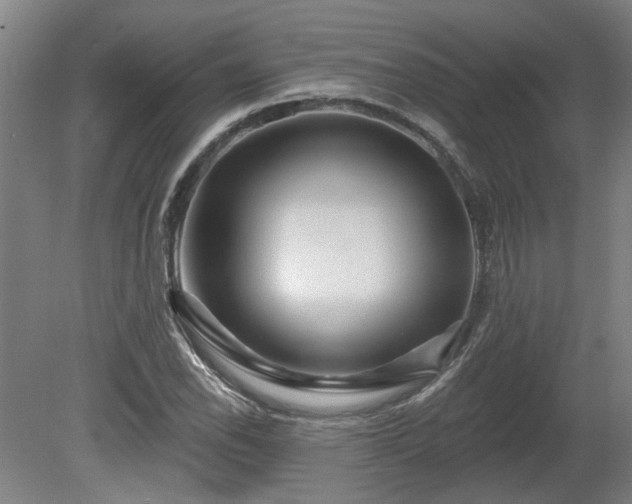 X0000080101118200612151614