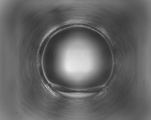 X0000080101119200612151614