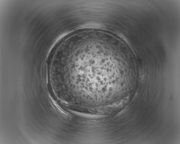 X0000080101123200612151614
