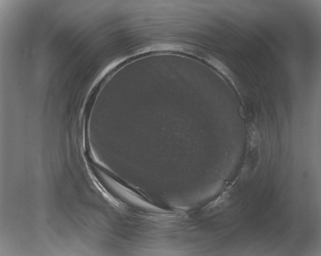 X0000080101127200612151614