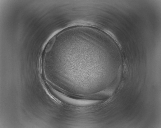 X0000080101128200612151614