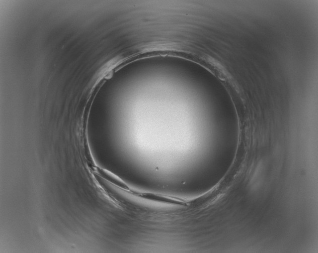 X0000080101129200612151614