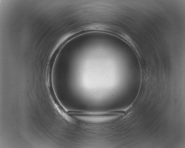 X0000080101131200612151614