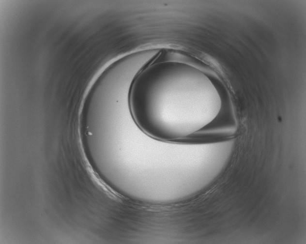 X0000080101132200612151614