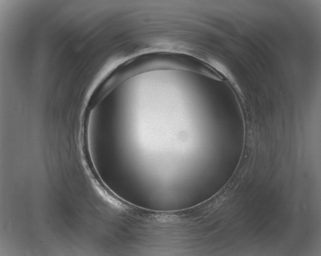 X0000080101136200612151614