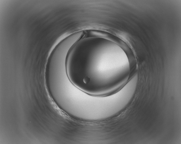 X0000080101138200612151614