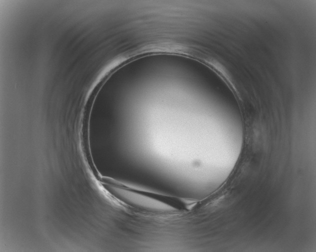 X0000080101139200612151614
