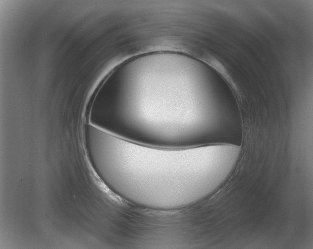 X0000080101140200612151614