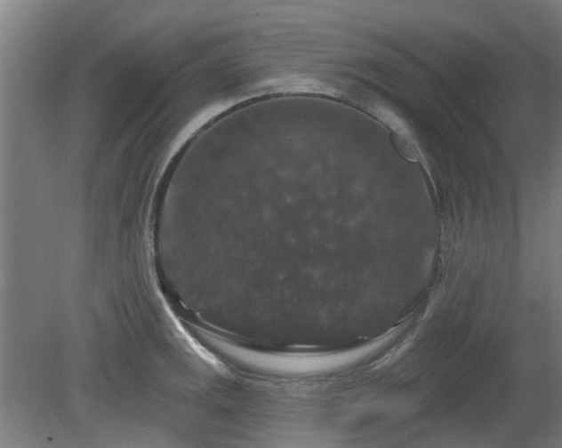 X0000080101141200612151614