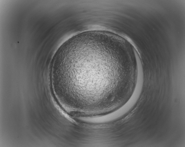 X0000080101142200612151614