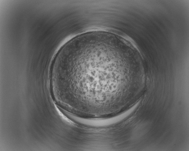 X0000080101143200612151614
