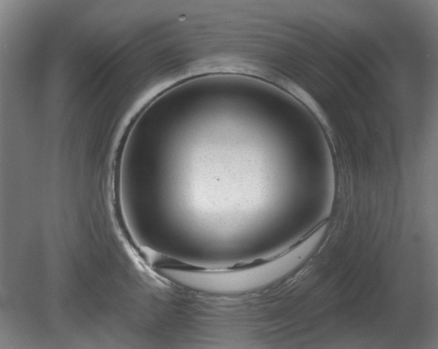 X0000080101144200612151614