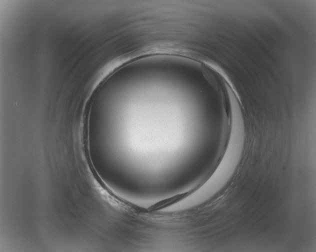 X0000080101147200612151614